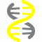 DNA Logo